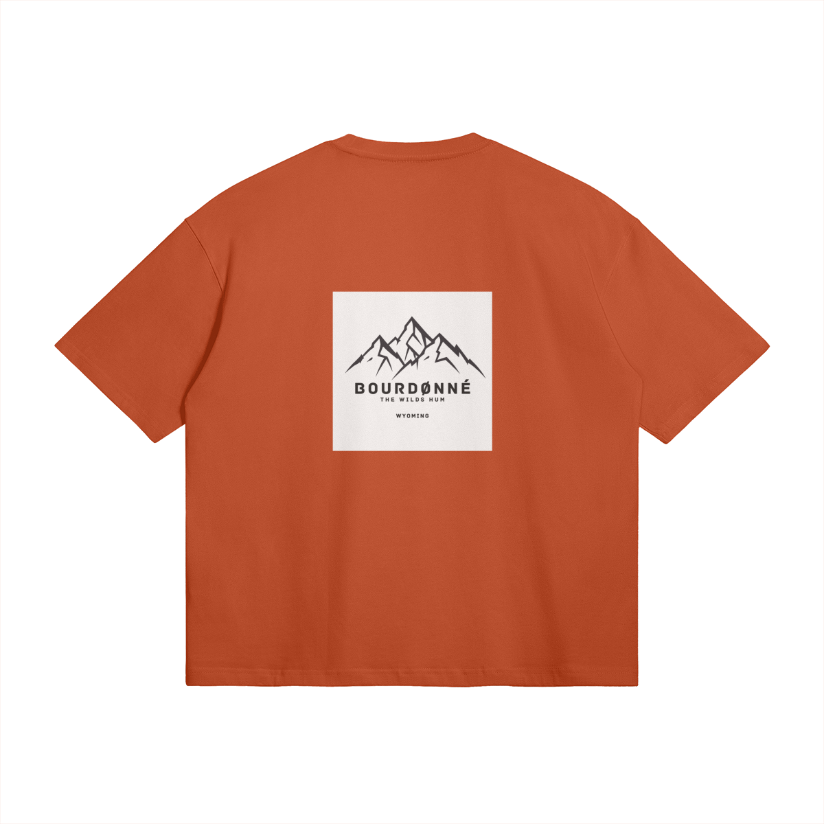 0-YBE-Back Side